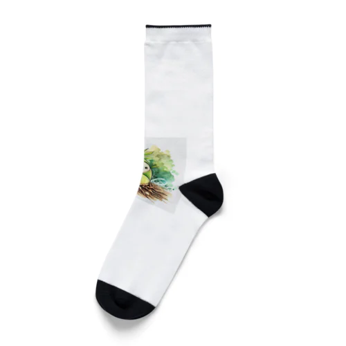 緑の竹の子 Socks