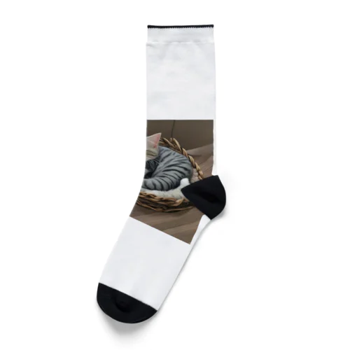 cute cat sleeping Socks