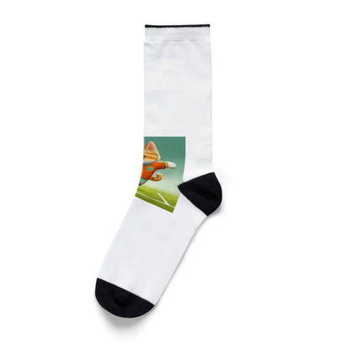 サッカーねこ Socks