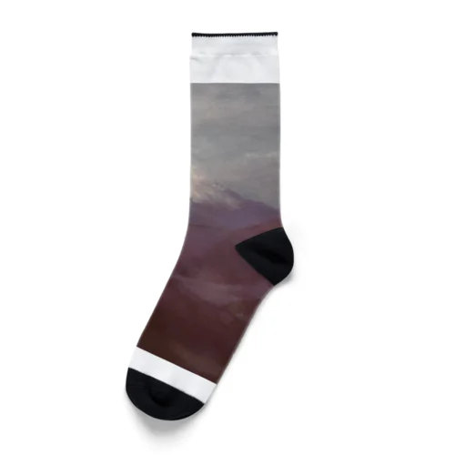 富士山を仰ぐ❗️ Socks