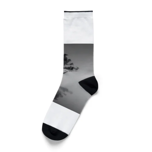 朝靄の湖畔に浮かぶ木 Socks