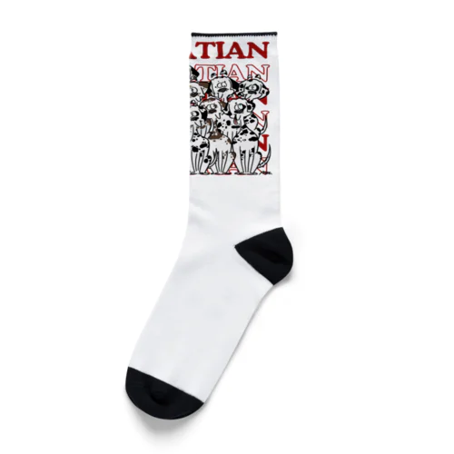 DALMATIAN Socks