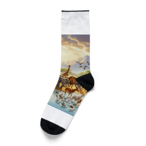 オアシス Socks