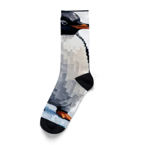 ペンギンの親子 Socks