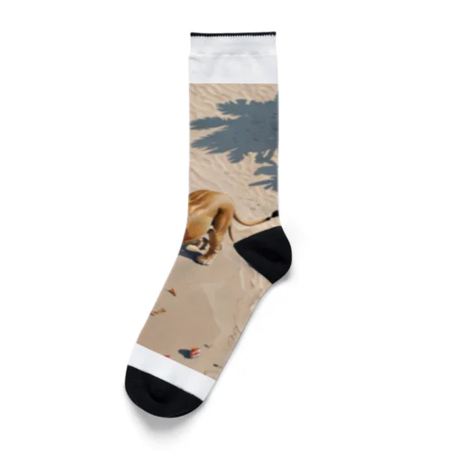 浜辺のライオン Socks