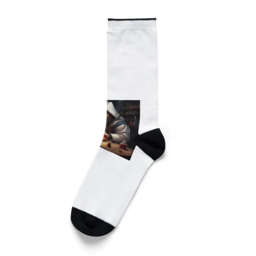 実験する錬金術師 Socks