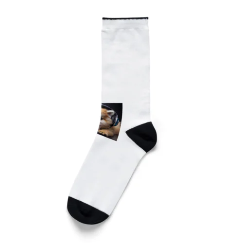 DJDOG Socks