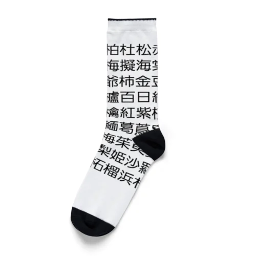 盆栽樹種 Socks