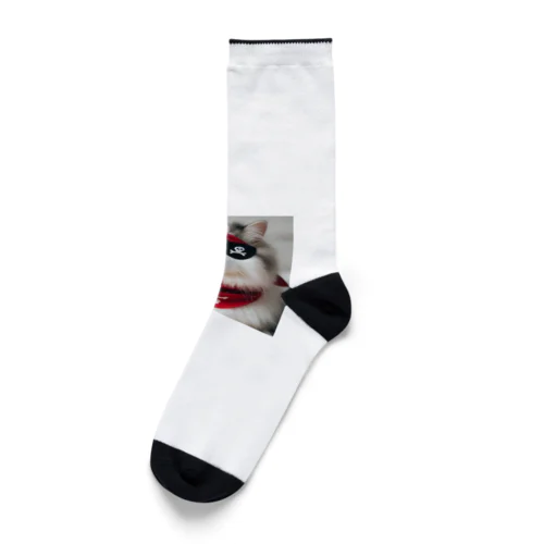 海賊猫ちゃん Socks