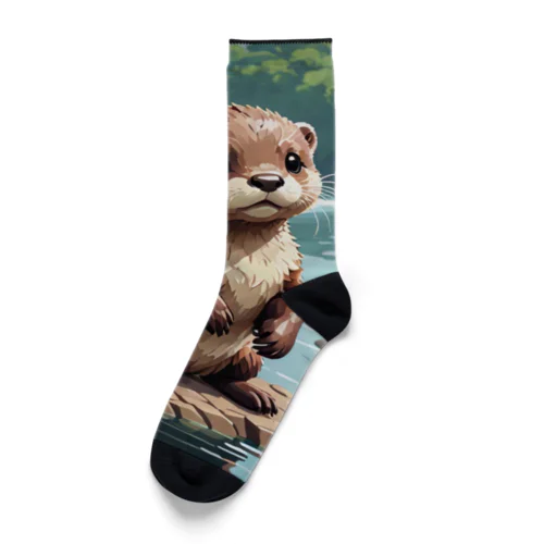 カワウソ Socks