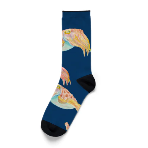 コブシメ（群れ）紺 Socks