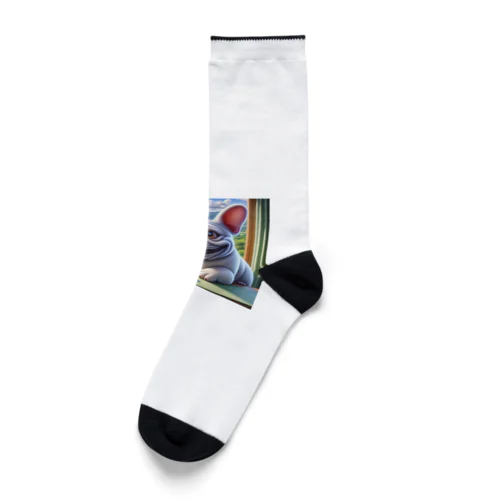 楽しさ満載のピエール Socks