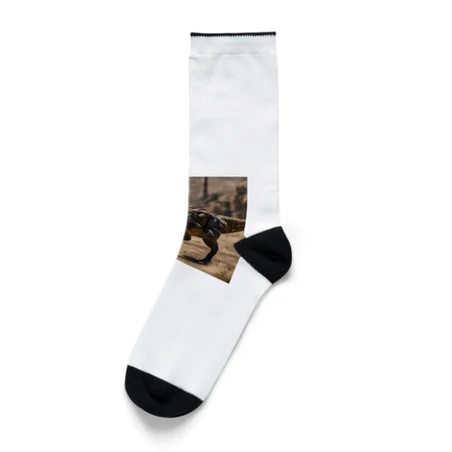 デイノニクス Socks