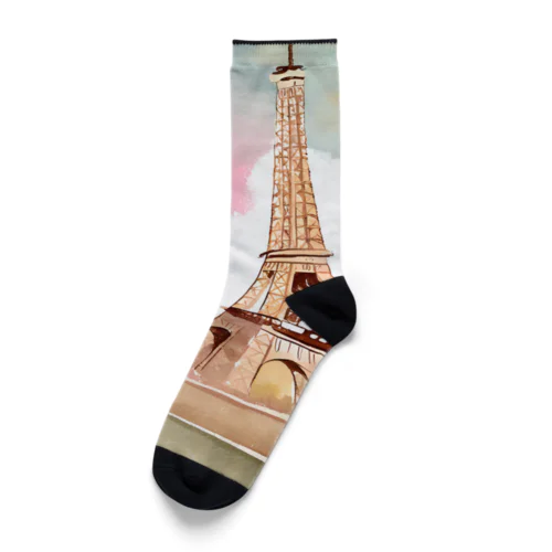 paris spring Socks