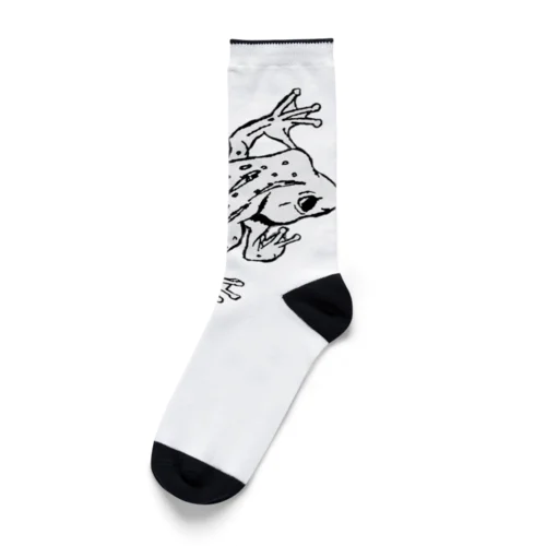 モノクロフロッグ Socks