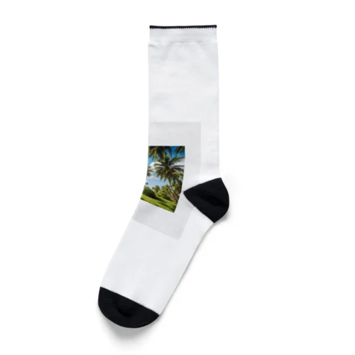 ココナッツツリーTシャツ Socks