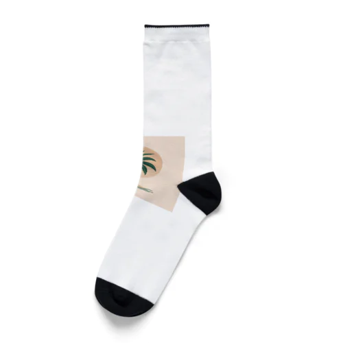 シンプルヤシの木　夕日　ワンポイント　Tシャツ　サンダル　小物 Socks