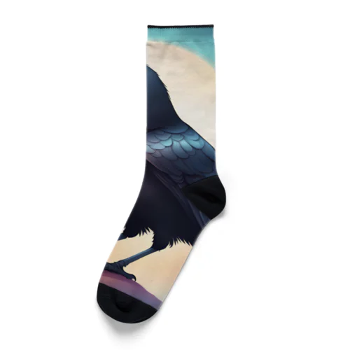 Night Crow Socks