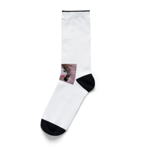 もち家族 Socks