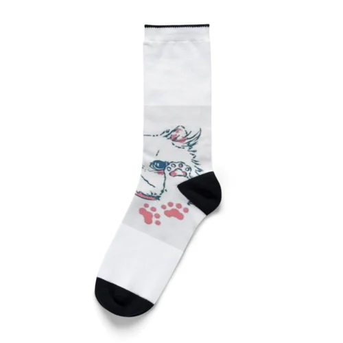 ふわっねっこっ Socks