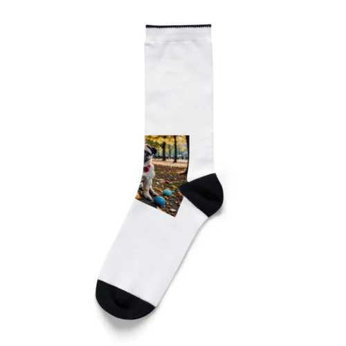 パグライフ Socks