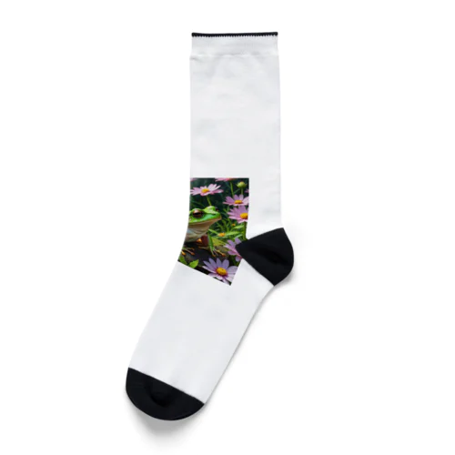 コスモスの上で休憩するアマガエル Socks