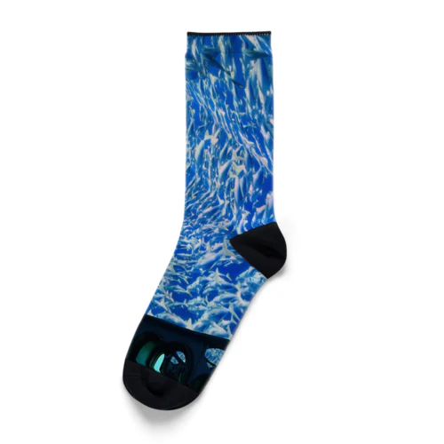 SAKANA Socks