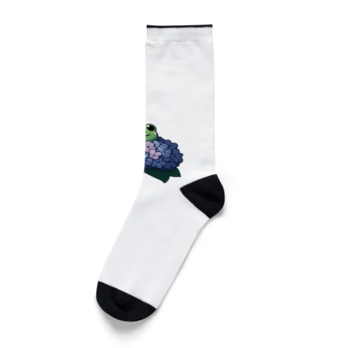 紫陽花の花と可愛いアマガエル🐸 Socks