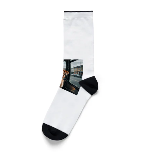 バスの中で座る犬 dog sitting on the bus Socks