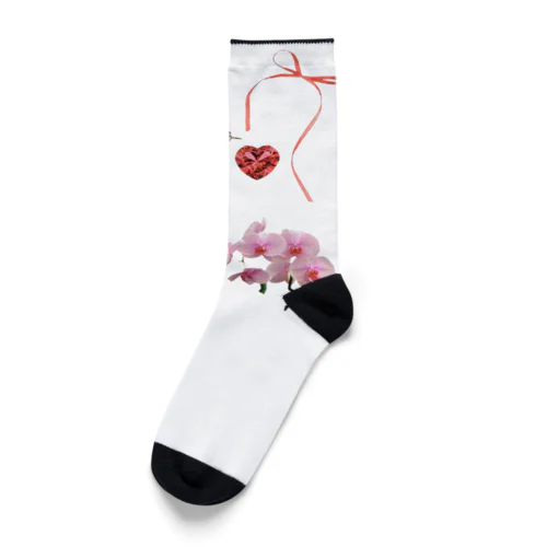 新アーニンワールド Socks