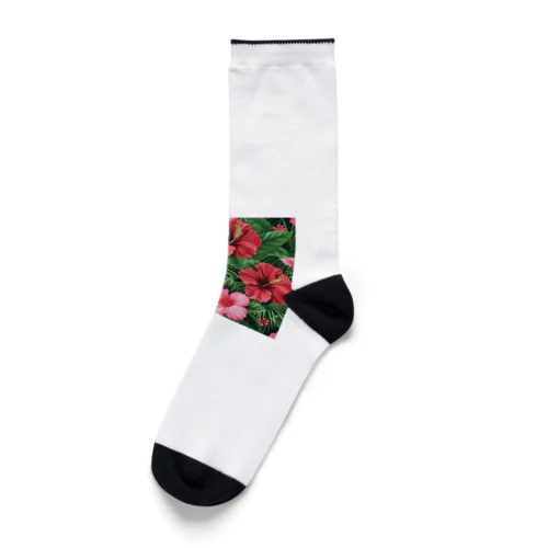 赤色の花ハイビスカス Socks