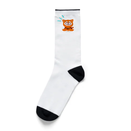 いぬちゃん Socks