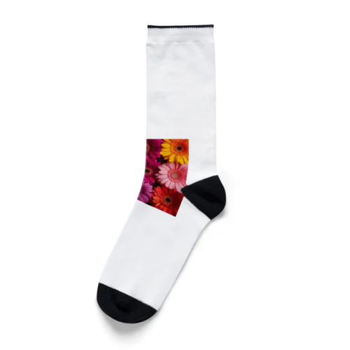 色鮮やかな綺麗な花 Socks