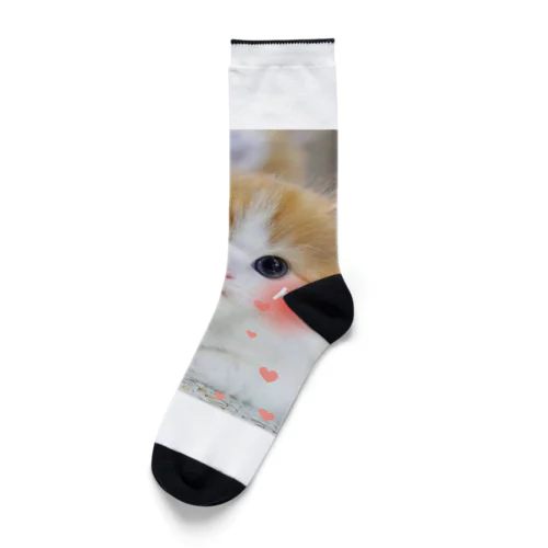 子猫ちゃんちゃん Socks