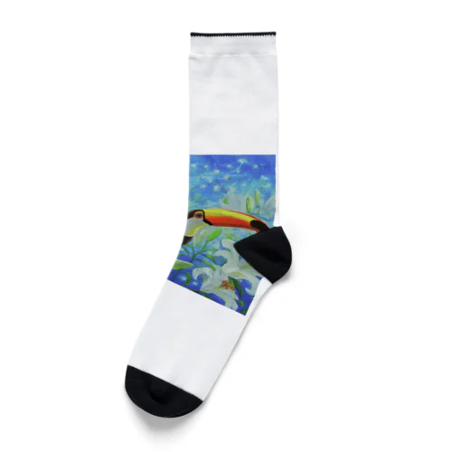 オニオオハシ Socks