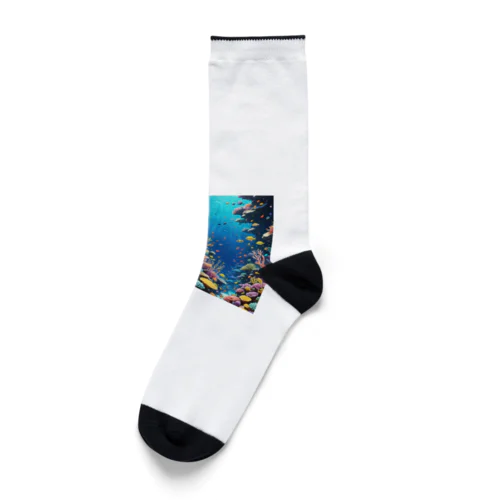蒼いサンゴ礁 Socks