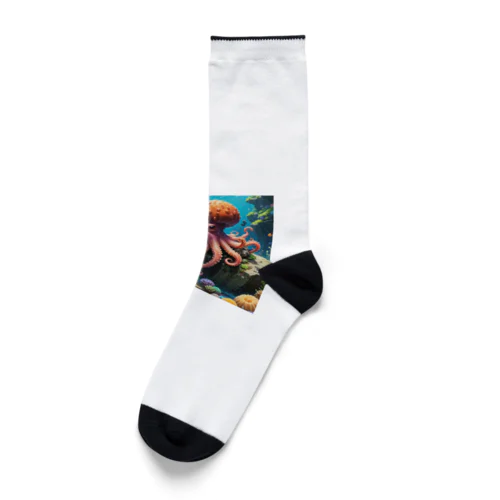 タコ Socks