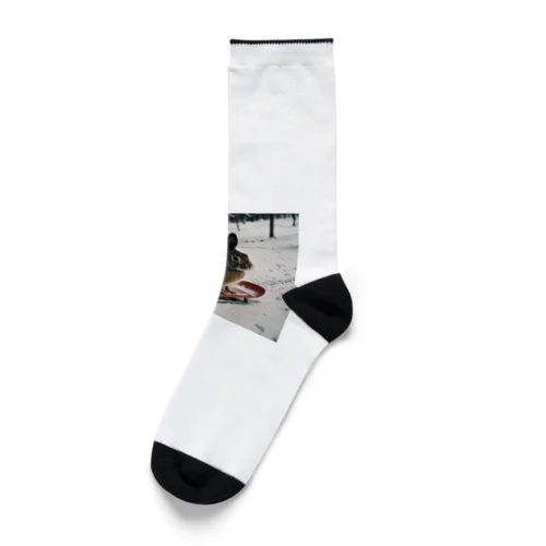 そりで滑っているウサギ Socks