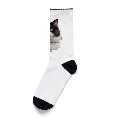 ハロウィンねこちゃんアイコン Socks