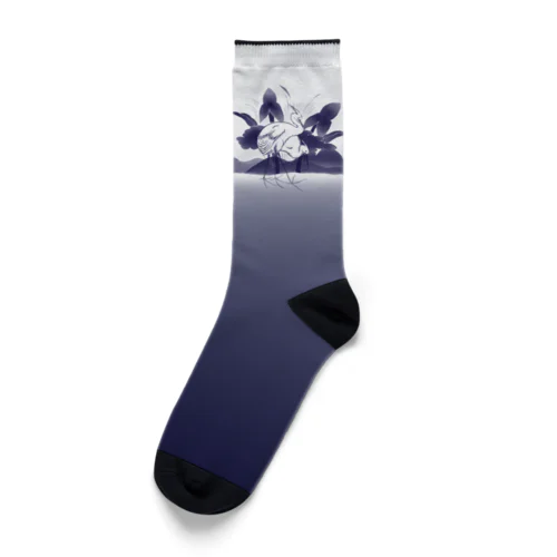 澤瀉白鷺【おもだかしらさぎ】 Socks