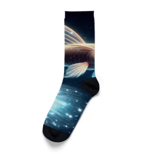 スター・フィッシュキャット Socks