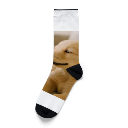 2025年6月28日につくったアイテム Socks