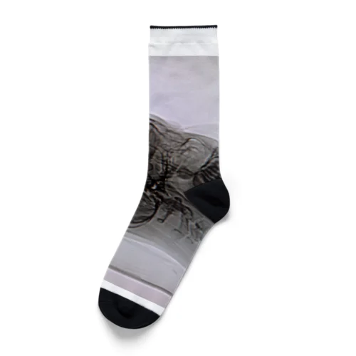 超個人情報 Socks