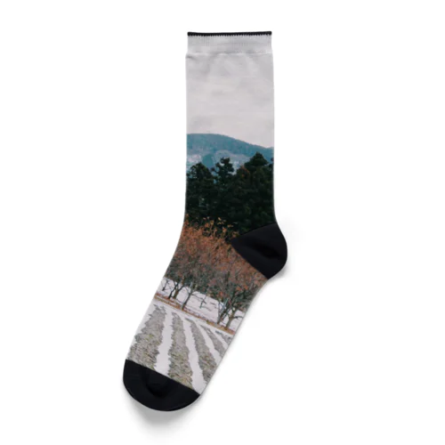 landscape No.5 Socks