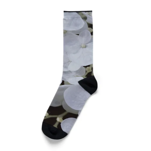 annabelle Socks