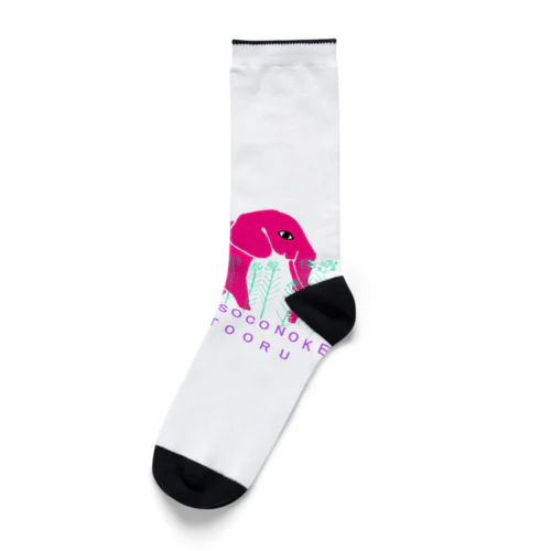 そこのけそこのけオイラが通る Socks