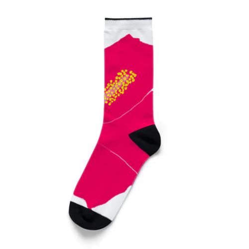 フラワーデザイン「赤いハイビスカス」 Socks
