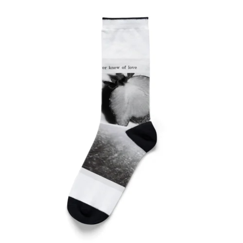 I ever knew of love Socks