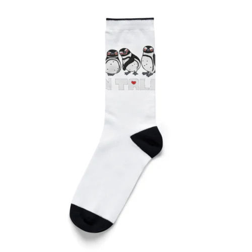 Penguin Tale Socks