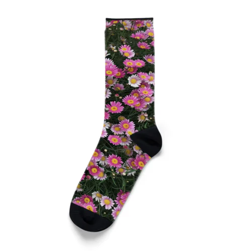 003 お花まみれ Socks